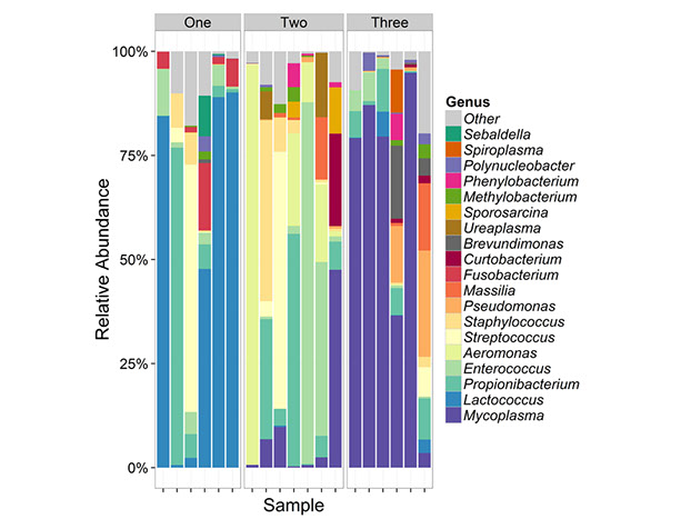 Bar plot illustrating relative abundances of top 20 most dominant bacterial genera across groups and samples.