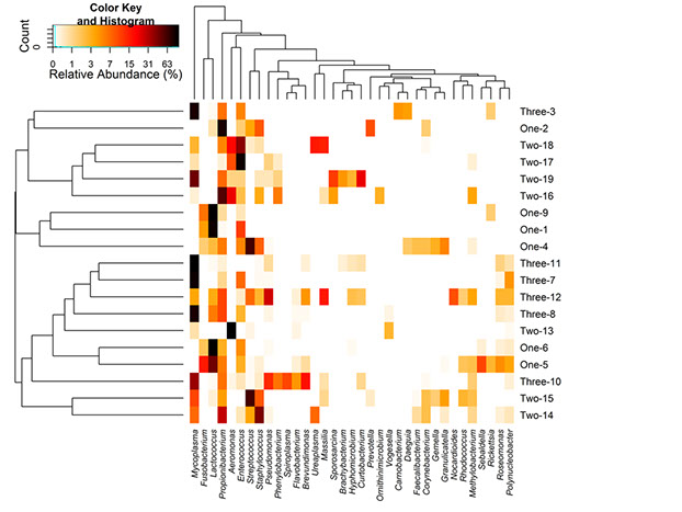 Heatmap illustrating relative abundances of 35 most dominant bacterial genera Across groups and samples.